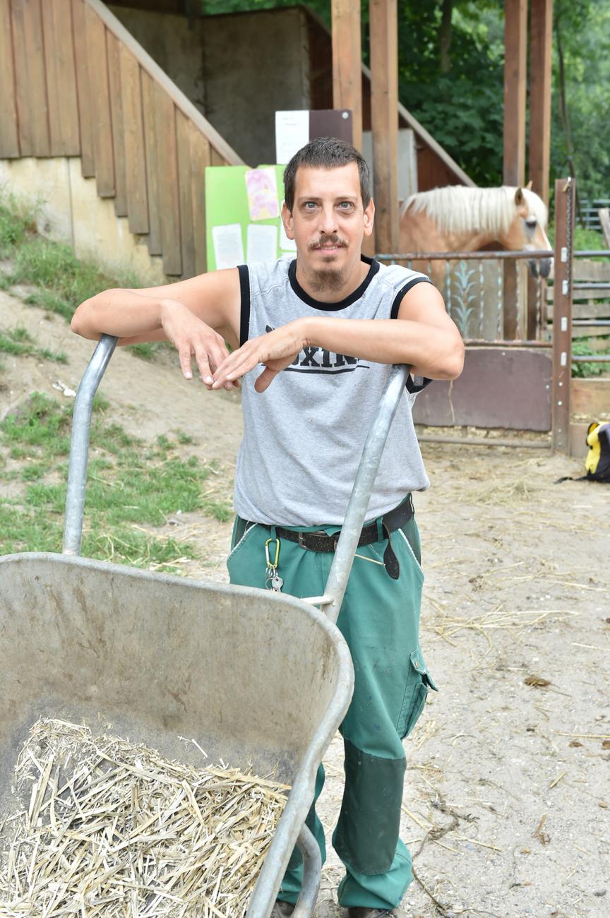Der Schultenhof Wohnen & Arbeiten für Menschen mit Behinderungen